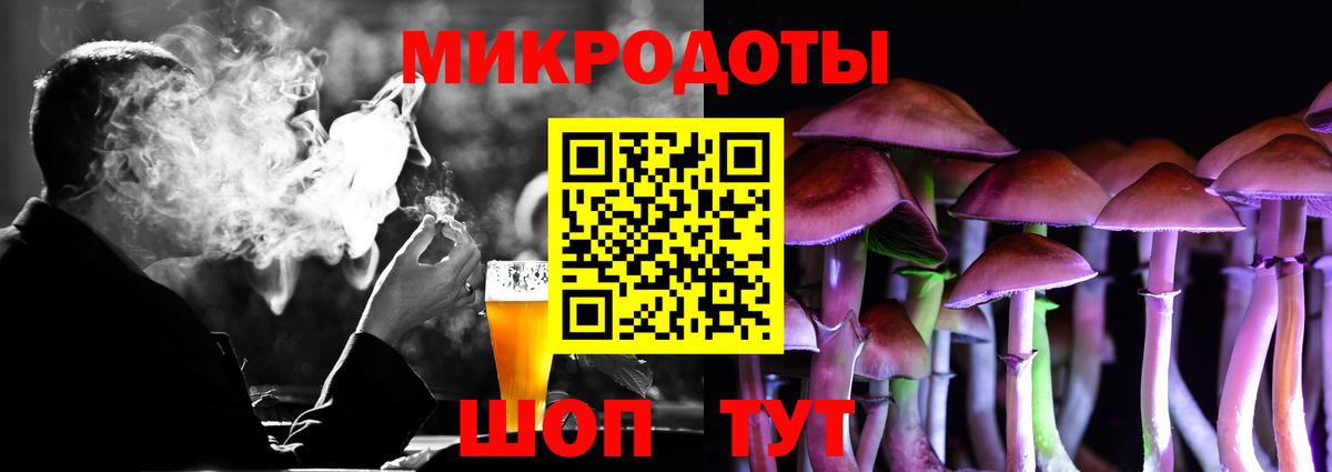 Галлюциногенные грибы Psilocybine cubensis Новосибирск